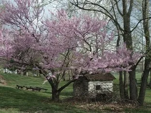 Dans quel cas peut-on s'abstenir d'une déclaration préalable de travaux ?